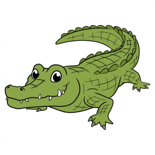 Crocodile Photo