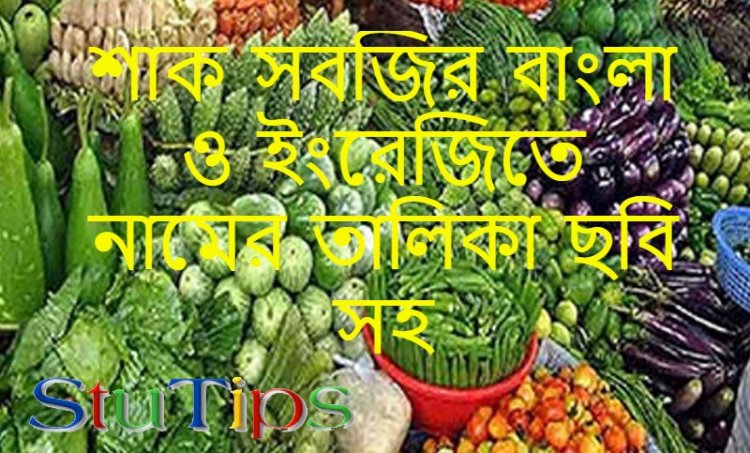 Vegetables Name- শাক সবজির বাংলা ও ইংরেজিতে নামের তালিকা ছবি সহ